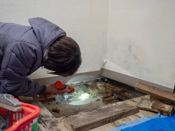Mold Remediation for Rental Properties in Yuma, AZ