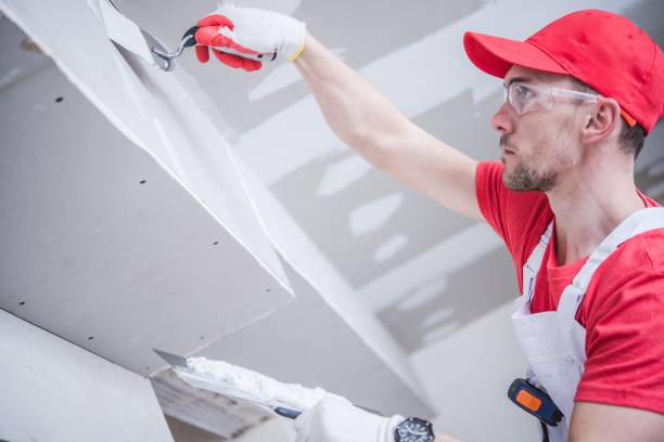  Yuma, AZ Mold Removal Pros